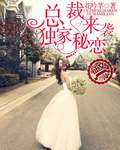 总裁来袭:独家秘恋 总裁来袭:独家秘恋