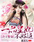冷王娶妻:一品皇妃不好追 冷王娶妻:一品皇妃不好追