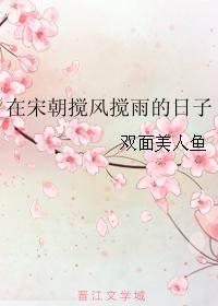 在宋朝搅风搅雨的日子 在宋朝搅风搅雨的日子