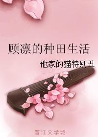 ���ݵ���������