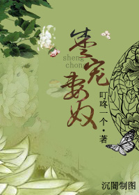 娇宠妻奴 娇宠妻奴