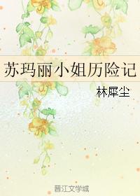 苏玛丽小姐历险记 苏玛丽小姐历险记