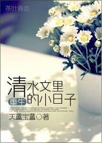 重生清水文里的小日子 重生清水文里的小日子