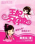 王妃不好欺 王妃不好欺