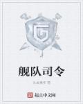 舰队司令 舰队司令