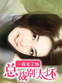 一夜未了情:总裁别太坏 一夜未了情:总裁别太坏