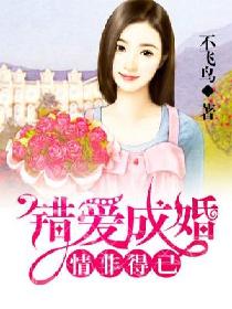 ��ǵ��ѣ������ɻ�