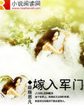 嫁入军门 嫁入军门