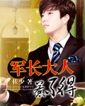 军长大人,惹不得! 军长大人,惹不得!