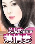 总裁的薄情妻 总裁的薄情妻