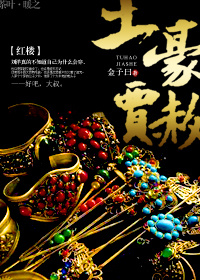 红楼之土豪贾赦 红楼之土豪贾赦
