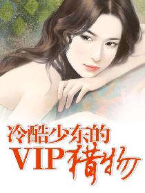 ����ٶ���VIP����