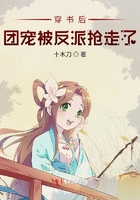 穿书后团宠被反派抢走了 穿书后团宠被反派抢走了