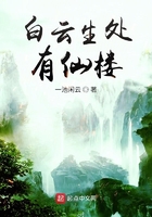 ������������¥