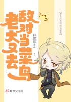 老大又去敌对当菜鸟 老大又去敌对当菜鸟