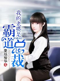 我的老婆是霸道总裁 我的老婆是霸道总裁