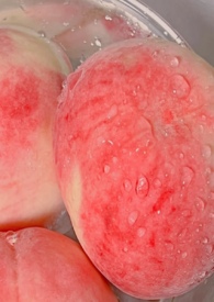 ��������¼