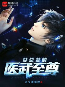 女总裁的医武至尊 女总裁的医武至尊