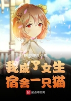 我成了女生宿舍一只猫 我成了女生宿舍一只猫
