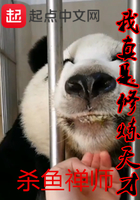 �������������