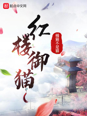 红楼御猫 红楼御猫