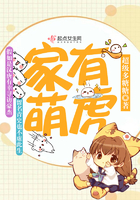 家有萌虎 家有萌虎