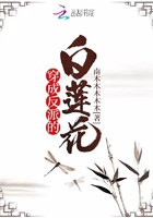 穿成反派的白莲花 穿成反派的白莲花