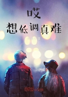 ����͵�����