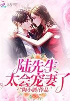 陆先生太会宠妻了 陆先生太会宠妻了