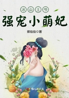 冰山王爷强宠小萌妃 冰山王爷强宠小萌妃