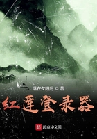 红莲登录器 红莲登录器