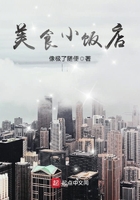 ��ʳС����