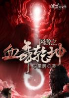 网游之血舞乾坤 网游之血舞乾坤