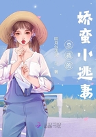 总裁的娇蛮小逃妻 总裁的娇蛮小逃妻