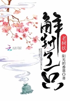 �����һֻ������