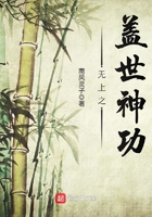 无上之盖世神功 无上之盖世神功