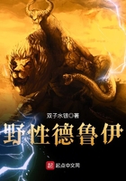 野性德鲁伊 野性德鲁伊