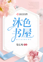 ��ɫ����