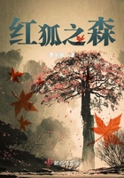 红狐之森 红狐之森