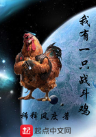 ����һֻս����