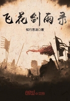 飞花剑雨录 飞花剑雨录