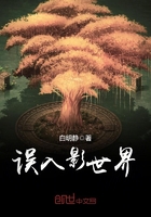 误入影世界 误入影世界