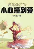 ����֮һ��С��ײ����