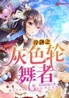 刀剑之灰色轮舞者 刀剑之灰色轮舞者