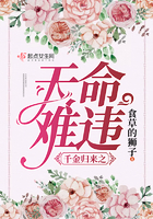 ǧ�����֮������Υ