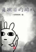 灵视者的游戏 灵视者的游戏
