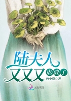 ½����������Ű����