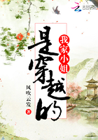 我家小姐是穿越的 我家小姐是穿越的