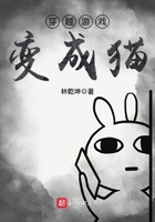 ��Խ��Ϸ���è