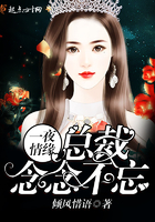 一夜情缘:总裁念念不忘 一夜情缘:总裁念念不忘